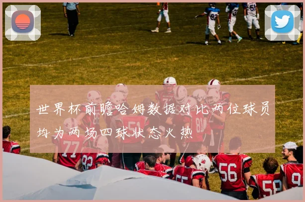 世界杯前瞻哈姆数据对比两位球员均为两场四球状态火热
