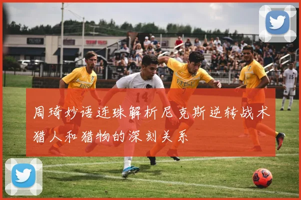 周琦妙语连珠解析尼克斯逆转战术猎人和猎物的深刻关系